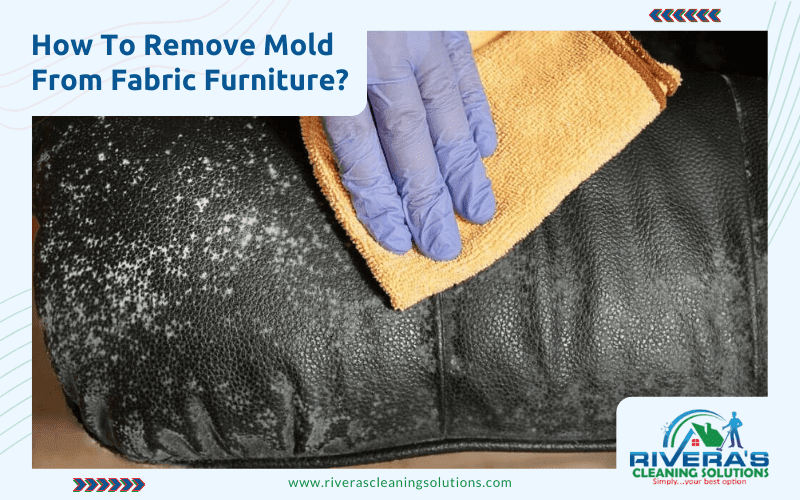 How to Remove Mold from Fabric Sofa: Easy Steps for a Fresh Home